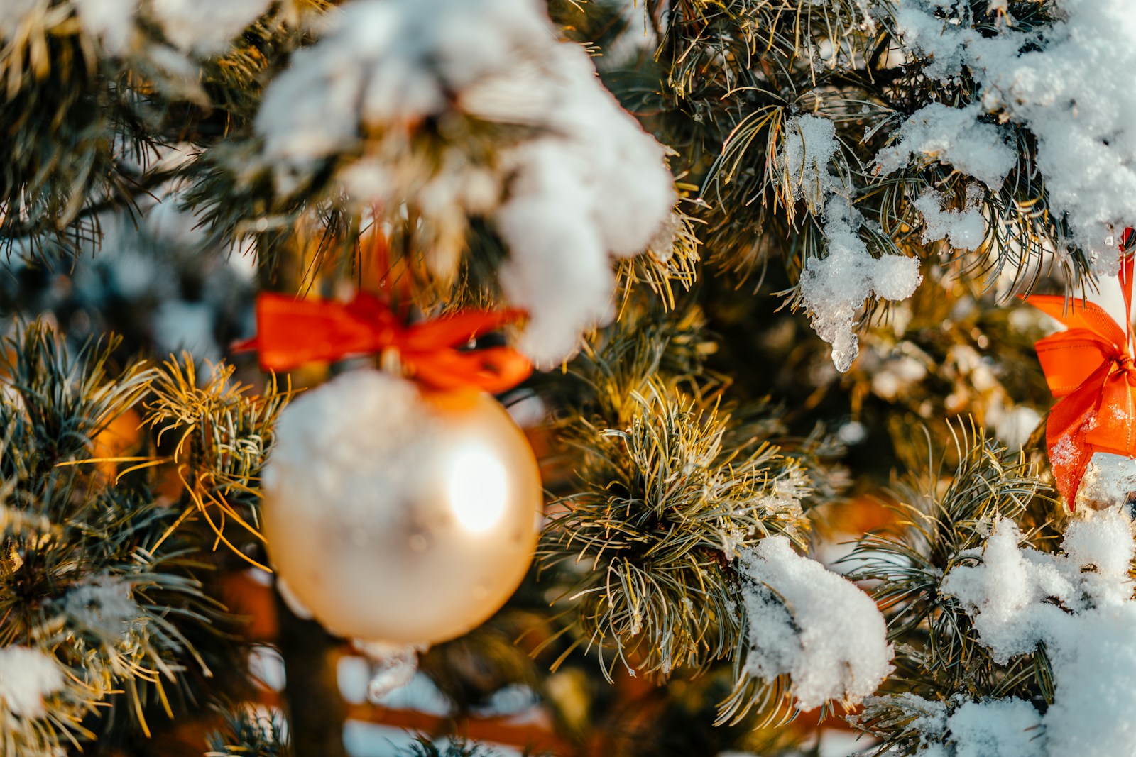 Pitching to Kenyan Media During the Festive Season